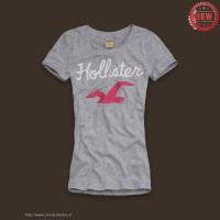 dames hollister korte tees logo grijs Outlet Eindhoven guhkn699