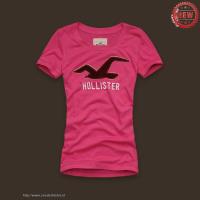 dames hollister korte tees logo lichtrood Shop Haarlem 58ncl887