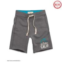 heren hollister athletic shorts calif diepgrijze Overhemden Utrecht sp7nl305