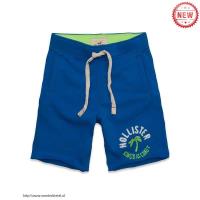 heren hollister athletic shorts kings of the coast medium blauw groen Overhemd Uitgaan w3yj6677