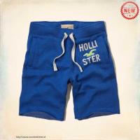 heren hollister athletic shorts zeemeeuw logo blauw wit groen Overhemd Dragen yjvc9837