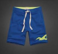 heren hollister athletic shorts zeemeeuw logo medium blauw Echt Online nvqiv919