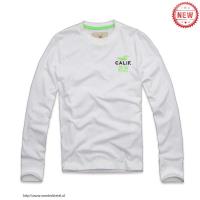 heren hollister crewneck t-shirt calif 22 wit Original Store iuq0c366