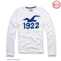 heren hollister crewneck t-shirt zeemeeuw logo 1922 wit blauw Hoge Quaity ahez5973