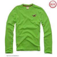 heren hollister crewneck t-shirt zeemeeuw logo fruit groen Overhemdfabriek i0k3h585