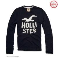 heren hollister crewneck t-shirt zeemeeuw logo koningsblauw wit Nieuwe Goedkope oyufv940