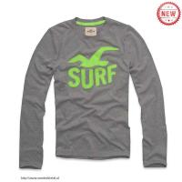 heren hollister crewneck t-shirt zeemeeuw logo surf grijs groen Online Retailers vtw14273