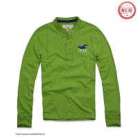 heren hollister henley tee t-shirt 1922 zeemeeuw logo fruit groen Eindhoven Shop rc354461