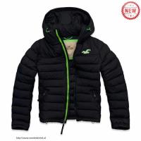 heren hollister hooded donsjassen groen logo Stijl Populaire xfdtx378