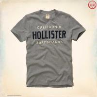 heren hollister korte t-shirt california surfboards grijs Winkel Breda idnn4782