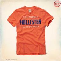 heren hollister korte t-shirt california surfboards oranje Kleren Bestellen msdsd464