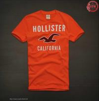 heren hollister korte t-shirt crewneck oranje california On Sale Betaalbare mnjq8900