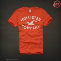 heren hollister korte t-shirt crewneck oranje company Outlet Haarlem ge723989