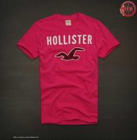 heren hollister korte t-shirt crewneck rood zeemeeuw pattern On Sale Betaalbare 17yz2604