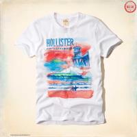 heren hollister korte t-shirt pattern huntington wit Groningen Shop i8nyg826