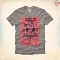 heren hollister korte t-shirt pattern rebels grijs Sale Online 42a44198