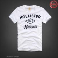 heren hollister korte tees 1922 hawaii wit Nijmegen Shop b3gaq867