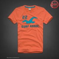 heren hollister korte tees 22 surf assoc oranje Retail Stores dm44g398