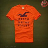 heren hollister korte tees coastal surf and rescue oranje Outlet Amsterdam 40fcj159