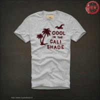 heren hollister korte tees cool in the cali shade grijs rood On Sale Price hckig536