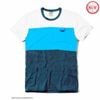 heren hollister korte tees gestreept logo wit blauw marineblauw Utrecht Shop m0n27626