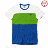 heren hollister korte tees gestreept logo wit groen blauw Voor Goedkope 2lrq6725