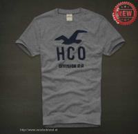 heren hollister korte tees hco division 22 grijs On Sale Betaalbare z92mm832