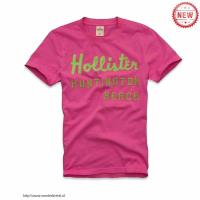 heren hollister korte tees huntington beach rose groen Shop Nijmegen l1mld746