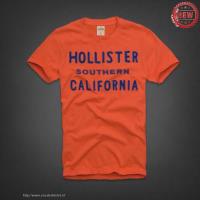 heren hollister korte tees southern california oranje blauw Outlet Almere m6nli540