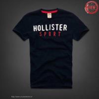 heren hollister korte tees sport donkerblauw rood Vrije Tijd zg1p6288