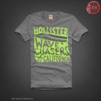 heren hollister korte tees wave chasers of california grijs groen Rotterdam Shop r244n793