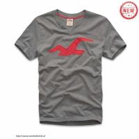 heren hollister korte v-hals tees big logo grijs rood Shop Almere fubrl268