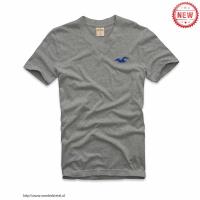 heren hollister korte v-hals tees logo grijs blauw Sport Kleren Kopen 8yu1t519