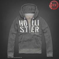 heren hollister pullover full-zipper surf watch grijs Shop Den Haag brpvd523