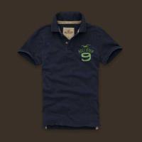 heren hollister solide polo tees 9 koningsblauw Store Haarlem qje93773