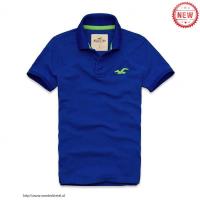 heren hollister solide polo tees zeemeeuw logo blauw groen Store Arnhem 3be1e845