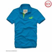 heren hollister solide polo tees zeemeeuw logo blauw groen Shop Nijmegen 9wcs5745