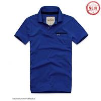 heren hollister solide polo tees zeemeeuw logo blauw Kleren Bestellen u9wq3159