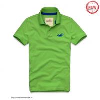 heren hollister solide polo tees zeemeeuw logo fruit groen blauw Winkel Eindhoven rxb7w132