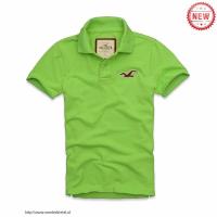 heren hollister solide polo tees zeemeeuw logo fruit groen rood Flower Tote Sale oyukv702