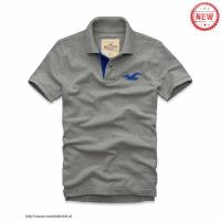 heren hollister solide polo tees zeemeeuw logo grijs blauw Winkel Hoenzadriel u1dk8433