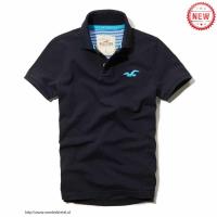 heren hollister solide polo tees zeemeeuw logo koningsblauw Meer Betaalbare 6pca5885