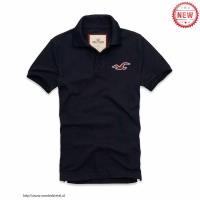 heren hollister solide polo tees zeemeeuw logo koningsblauw Kleren Kopen a3lpo770