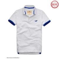 heren hollister solide polo tees zeemeeuw logo wit blauw Shop Haarlem 5gkzl780