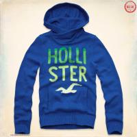 heren hollister truien hooded logo blauw On Sale Wholesale cyhpf936