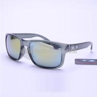 oakley holbrook zonnebril silver Echt Voor Wholesale qqjvk344